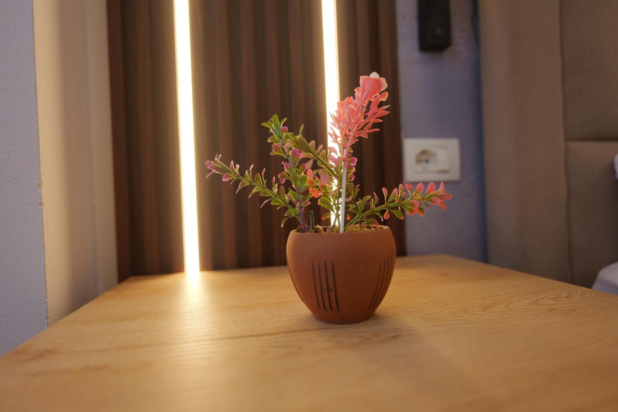 Golden Sleep Hostel Shkoder Exterior photo